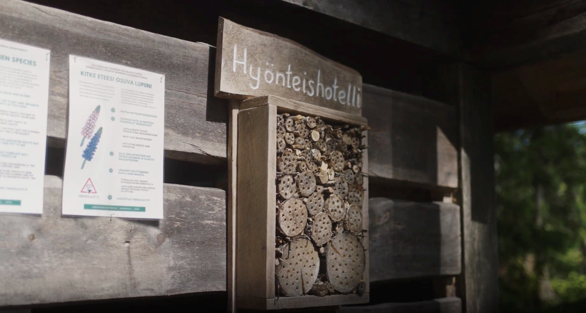 Hawkhill hy&ouml;nteishotelli.png